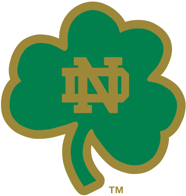 Notre Dame Fighting Irish 1994-Pres Alternate Logo 12 iron on paper